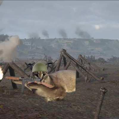 Flops land on Normandy (1945)