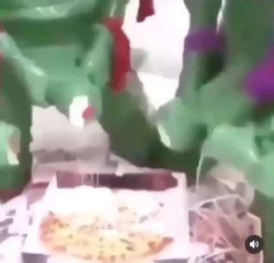 TEENAGE MUTANT NINJA TURTLES