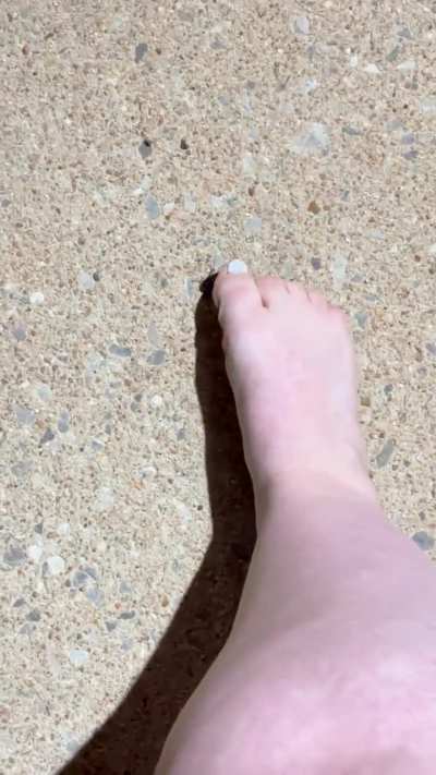 Quick Beetle Crush🪲