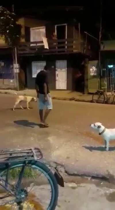 Dude fighting Dogs Naruto Style