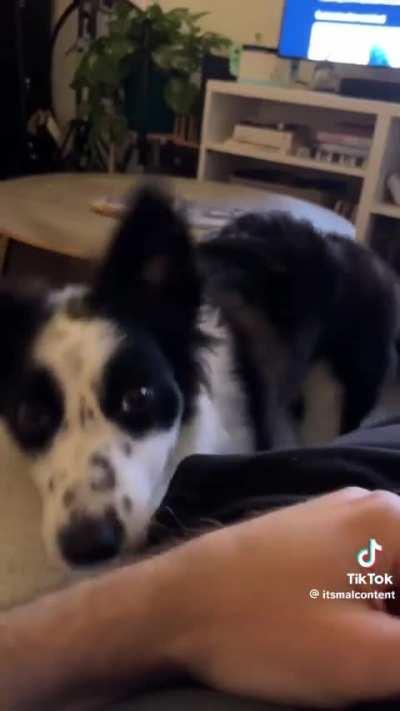 Clearly an egregious wrong has been done 