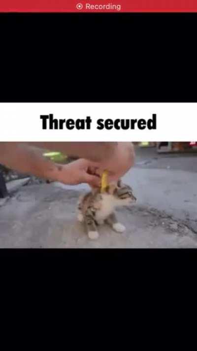 eXpEriMeNtAL bOmB aLmOsT eXpLoDeS cAusiNg mAsS deAtH aNd deStRucTiOn