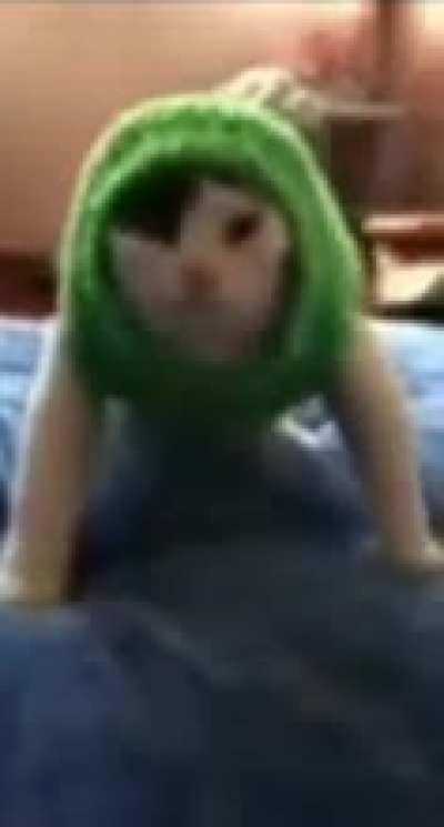 guys am I the only one here who is mentally sane and not depressed?