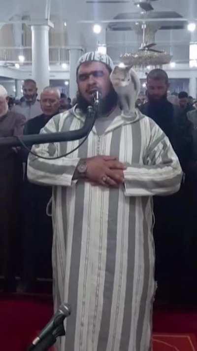 I think this cat could be a reason for a lot of people to know about islam and maybe convert 