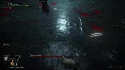 OMG FINALLY! I BEAT SOLDIER! OF GODRICK! OMG THIS WAS SO HARD!!!!! 😭😭😭