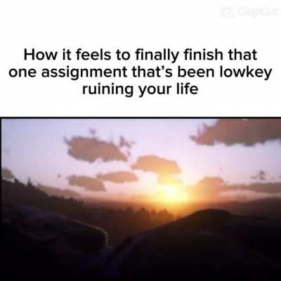 That one assignment that’s been lowkey ruining your life