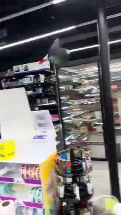 32 year old parrots got some tricks