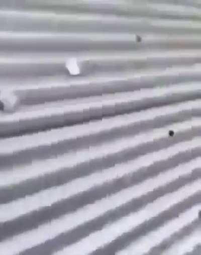 To cheat, to hide from a partner, to escape with no damage, to catch a gigolo