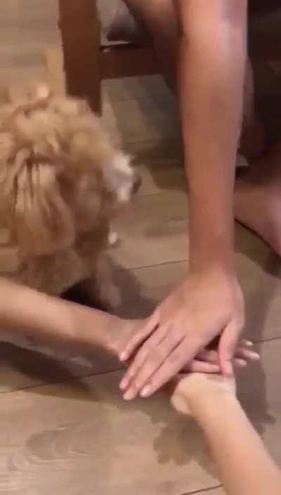 All for one... and one for all