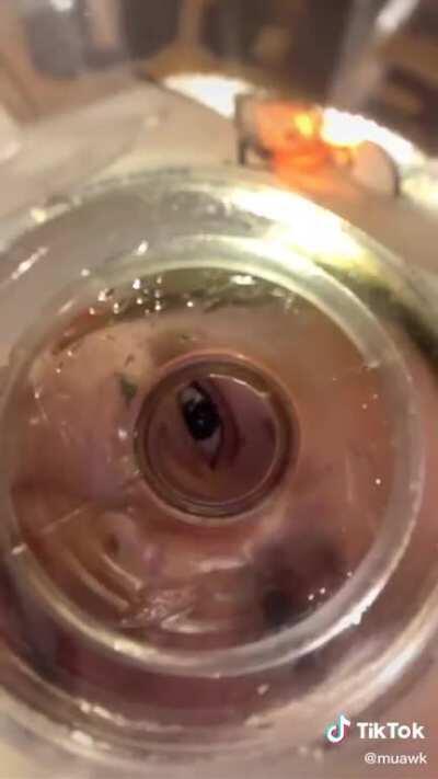 Idk if this belongs here but I physically cringed watching this