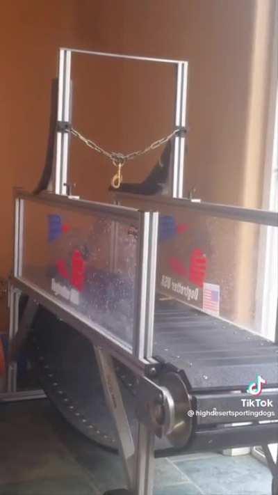 Since Jack loves screaming dogs 😂