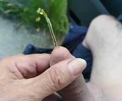 Want a golden shower 