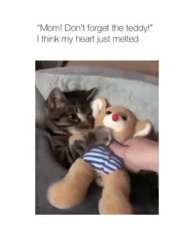 Mom! Don’t forget my teddy 🧸