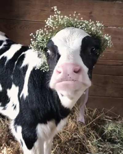 Very happy about her flower crown
