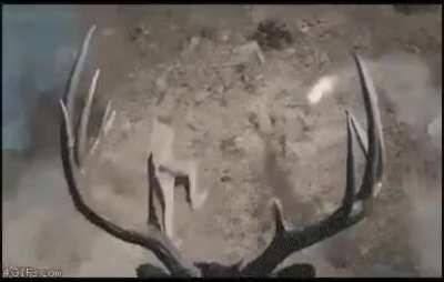 “Flight core online”