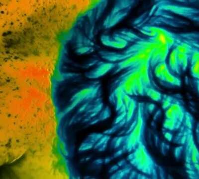 Thermal imaging camera shows how the human body loses heat when exposed to the blistering cold.