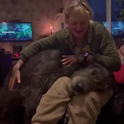 Big dog is still just a little puppy