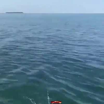 control ward fishing