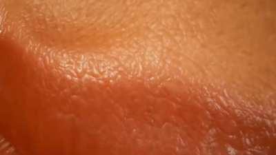 so THATS where my FPS went