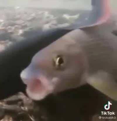 Me when [insert title here]