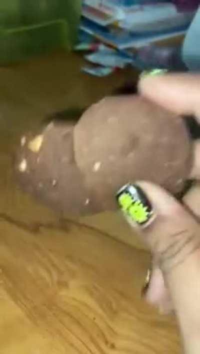 I never bake again, I have rocks instead of cookies