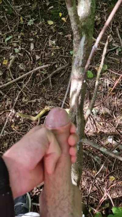My outdoor cumshot 