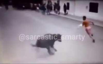 Man running from bull