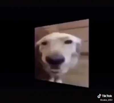 Epítome de la comedía