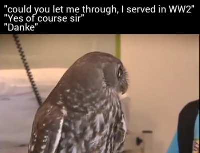 Ein Laich, ein Reich, ein Kommentarbereich