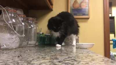 Just a bit more...a bit more...a bit more...