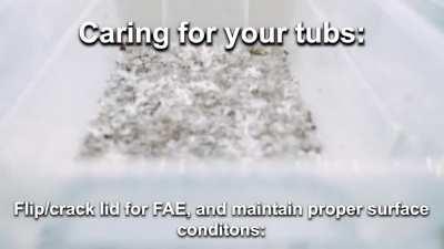 🍄 VIDEO for Part 3: Spawning to Bulk. See Comments for links and details.