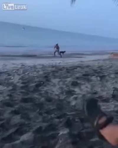 Instant Karma for trying to kick a dog for no reason