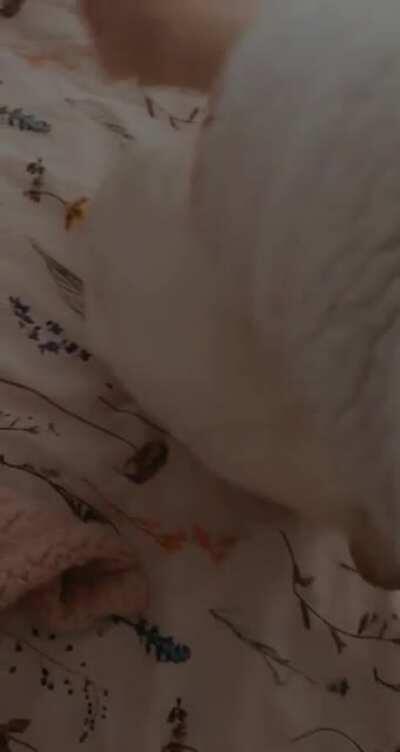 Teaching my Yuki how to be a tornado.