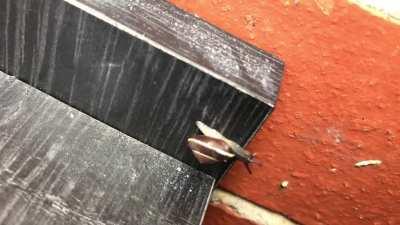 🔥 So satisfying seeing this little guy overcome a corner in his life! 🐌