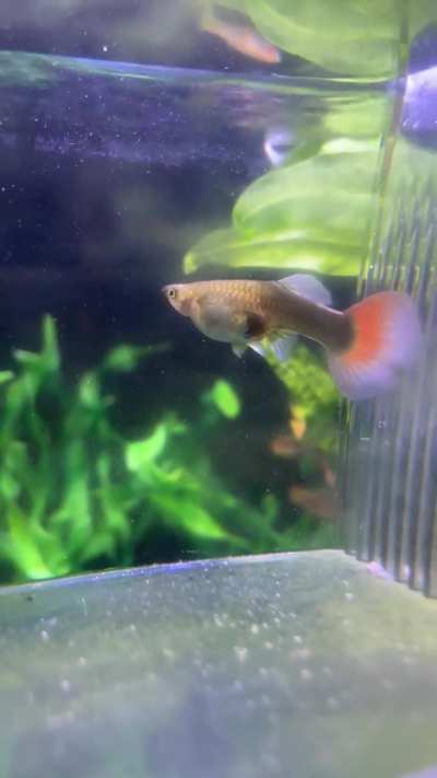 My girl is squaring out! FINALLY