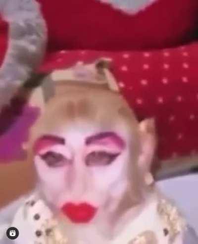 CrazyHuman - Video #1674