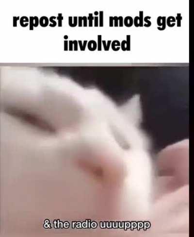 I don't know how much longer this will go on