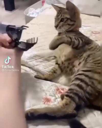 Found on Insta, Orginal from TikTok