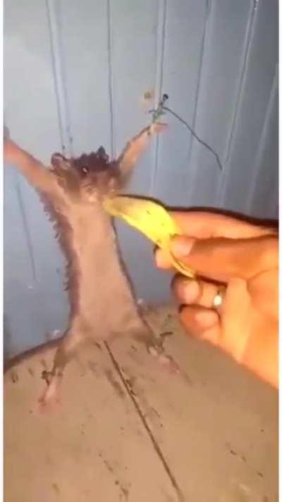 He didn't diserve that..