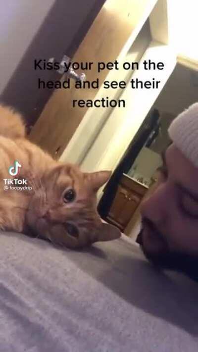 The awww turned into an ouch real quick