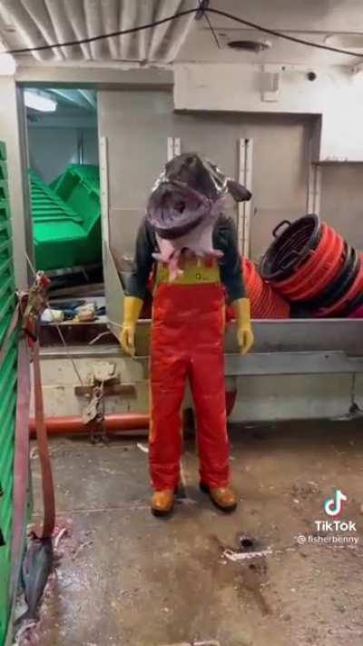 Thanks, i hate Aquaman