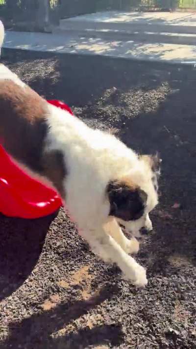 He asks to go on slide