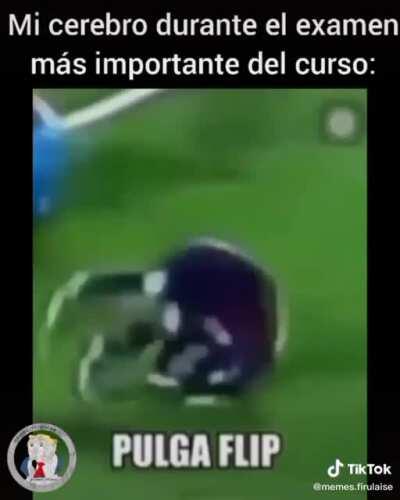 pulga flip 😆