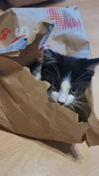 He's trying to convince me that he's innocent 