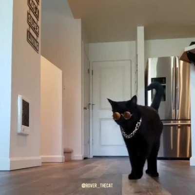 the catwalk...and this year's winning design is...?