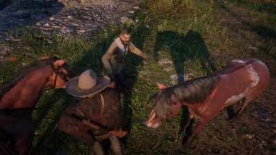 Simultaneously kicked by both my horses and instantly killed