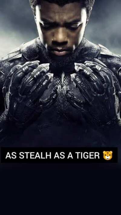 How's my silly edit , ( first time )