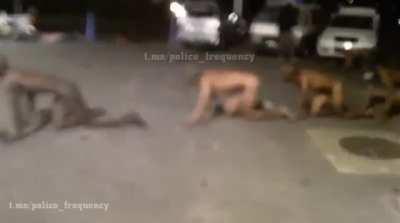 Looters stripped naked and forced to crawl around on all fours