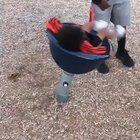 Laughing at the child's downfall.