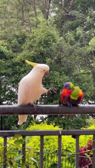 .... Can I touch it?